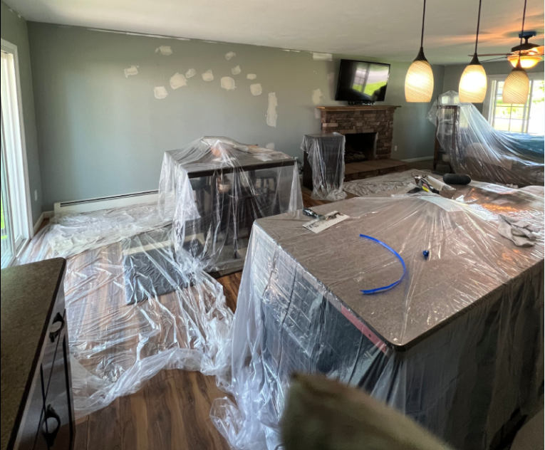 Screenshot 2025-04-04 192009 Images of high-quality or eco-friendly cleaning products that are used in residential cleaning.