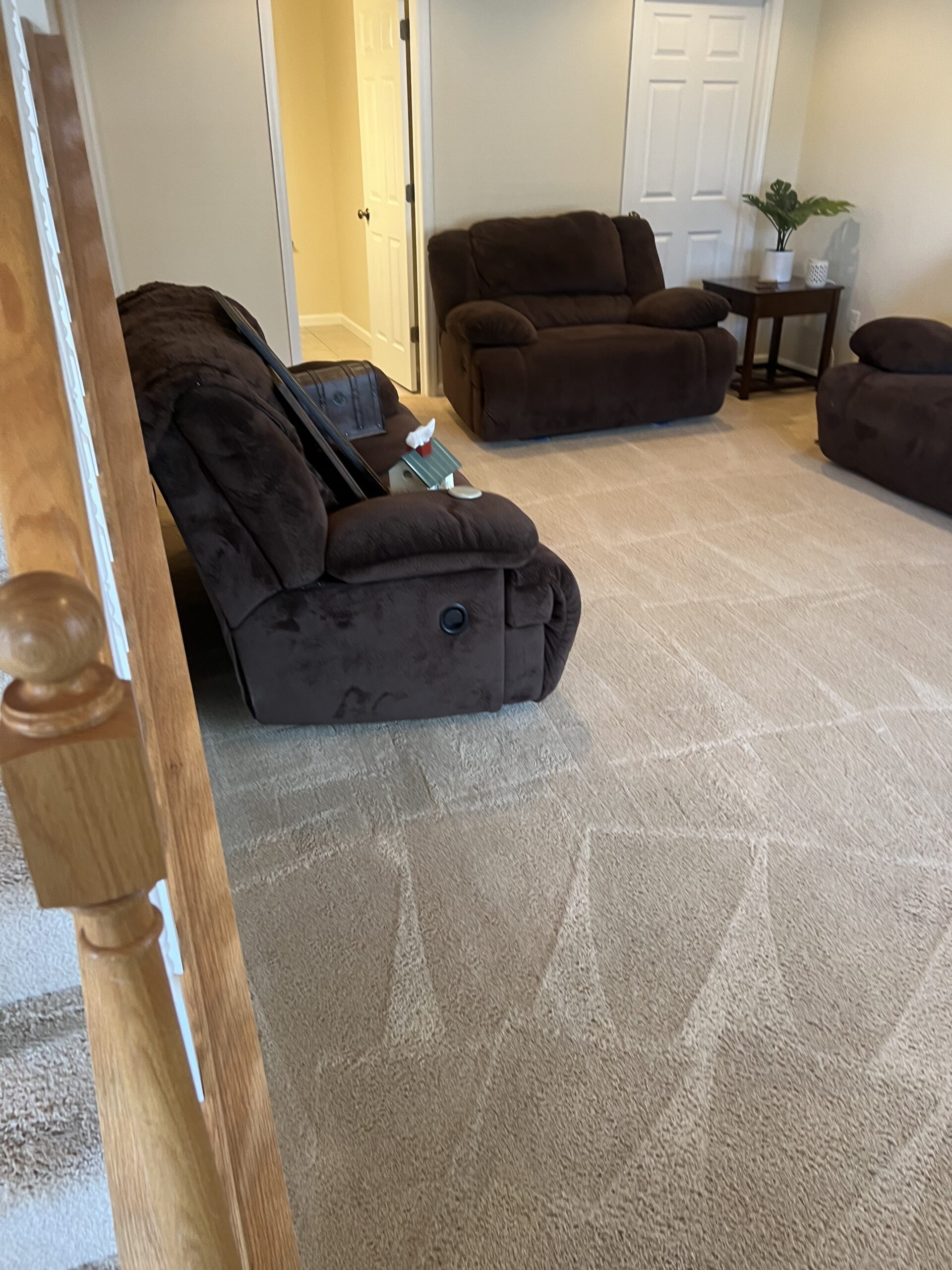 carpet-cleaning-3 painting